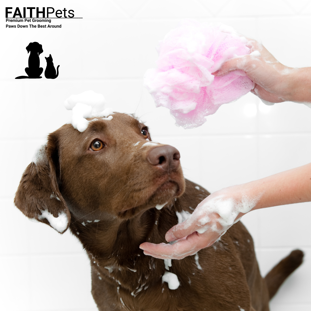 FaithPets 5-in-1 Organic Dog Shampoo & Conditioner