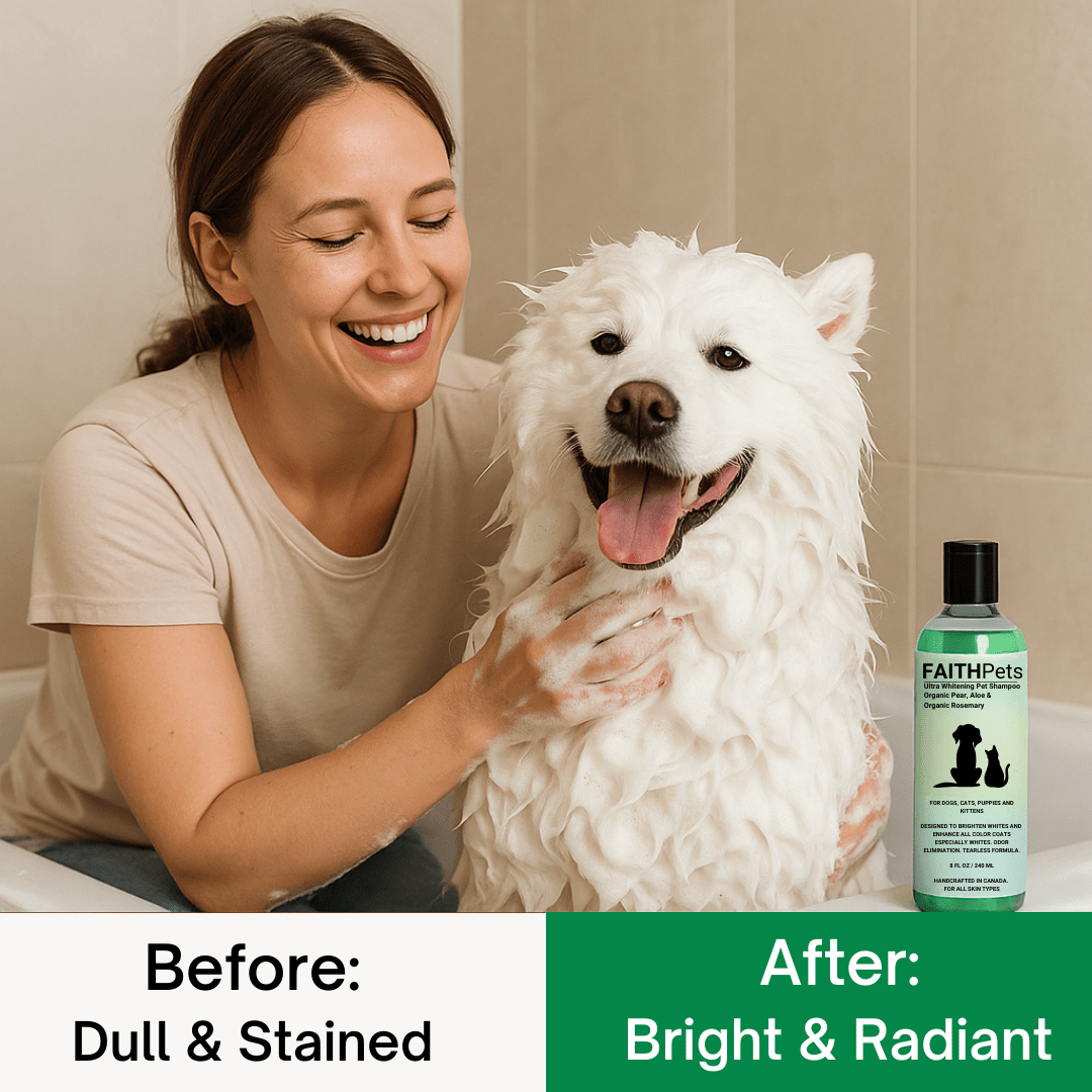 🐾 FaithPets Ultra Whitening Pet Shampoo - FaithPets