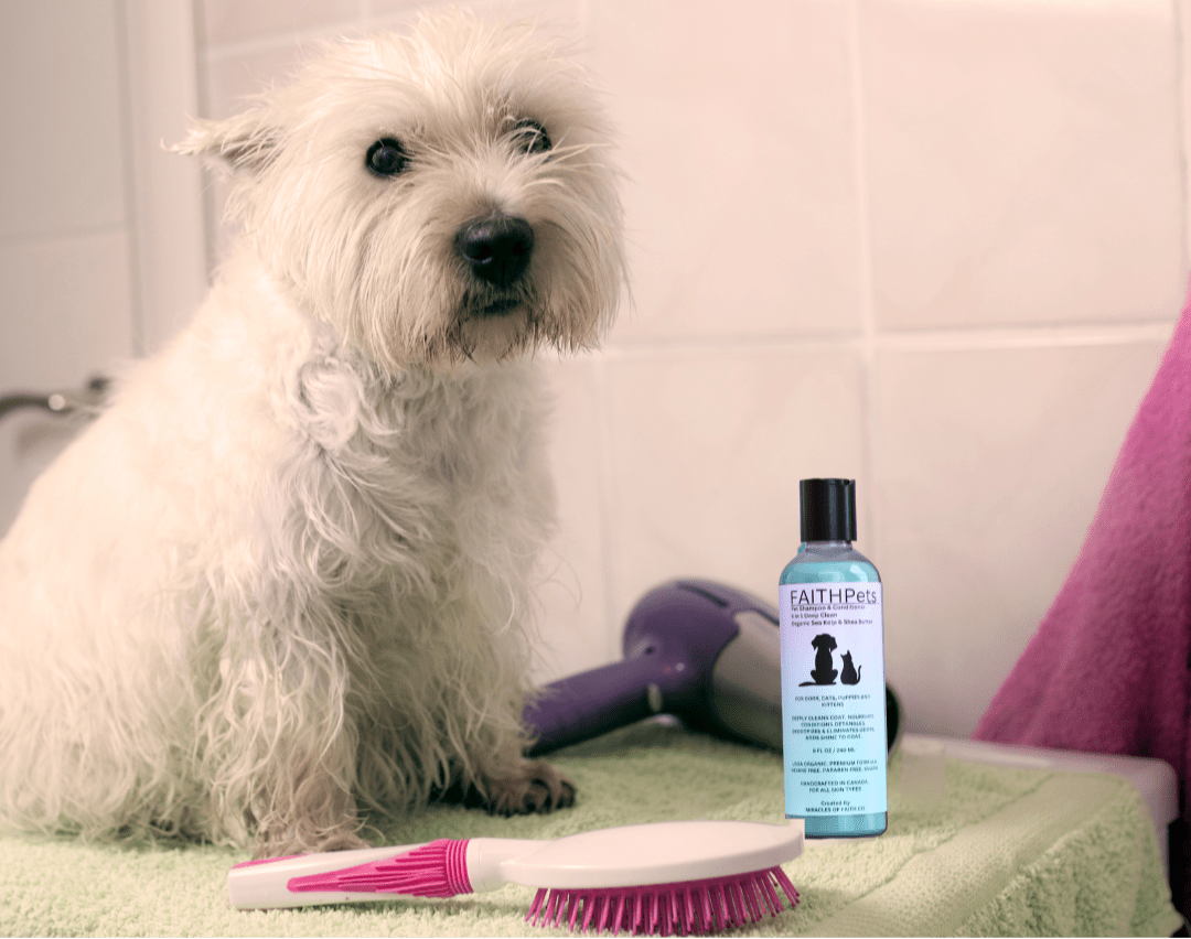 FaithPets 5 - in - 1 Organic Dog Shampoo & Conditioner - FaithPets