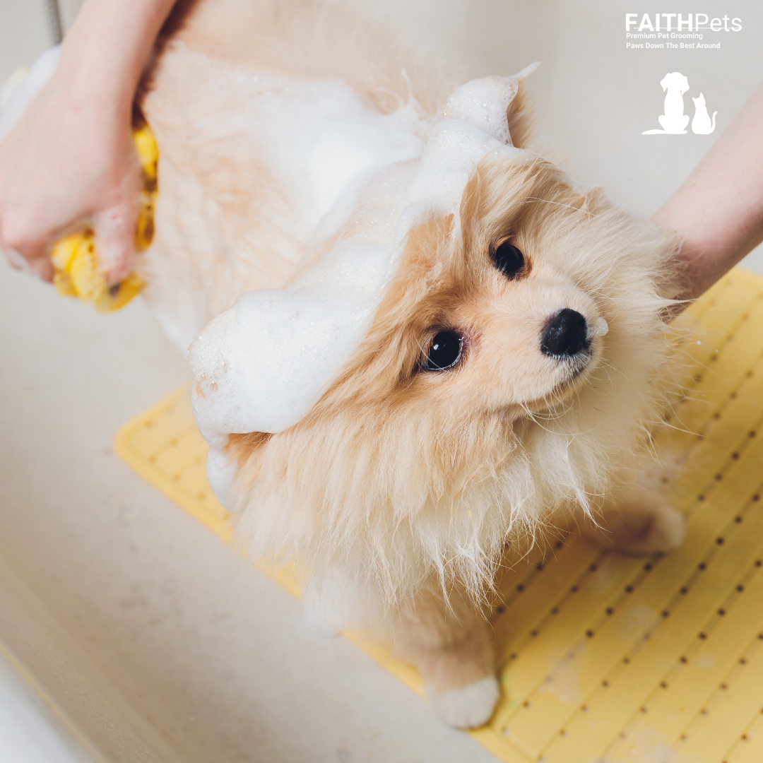 FaithPets 5-in-1 Organic Dog Shampoo & Conditioner