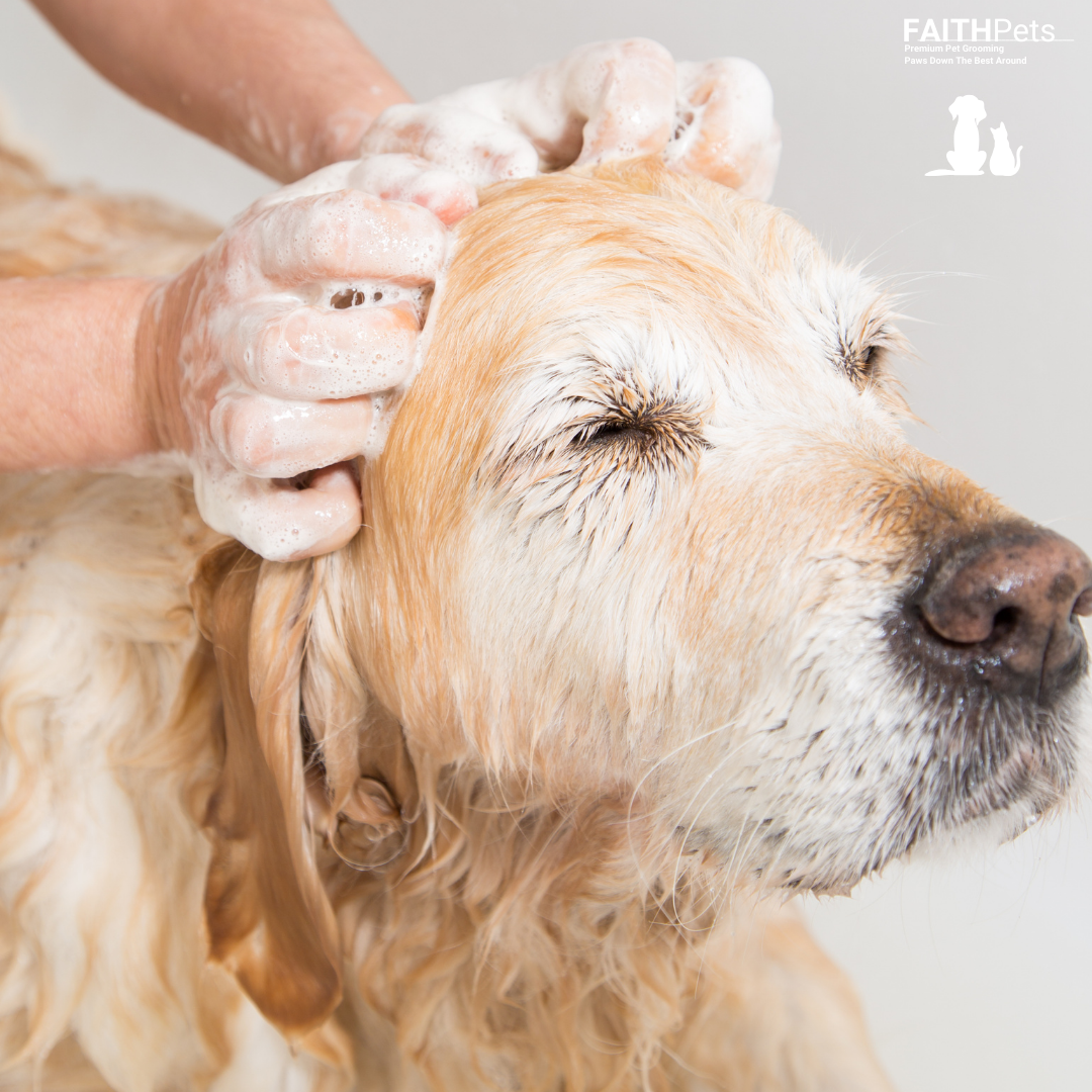 FaithPets 5-in-1 Organic Dog Shampoo & Conditioner