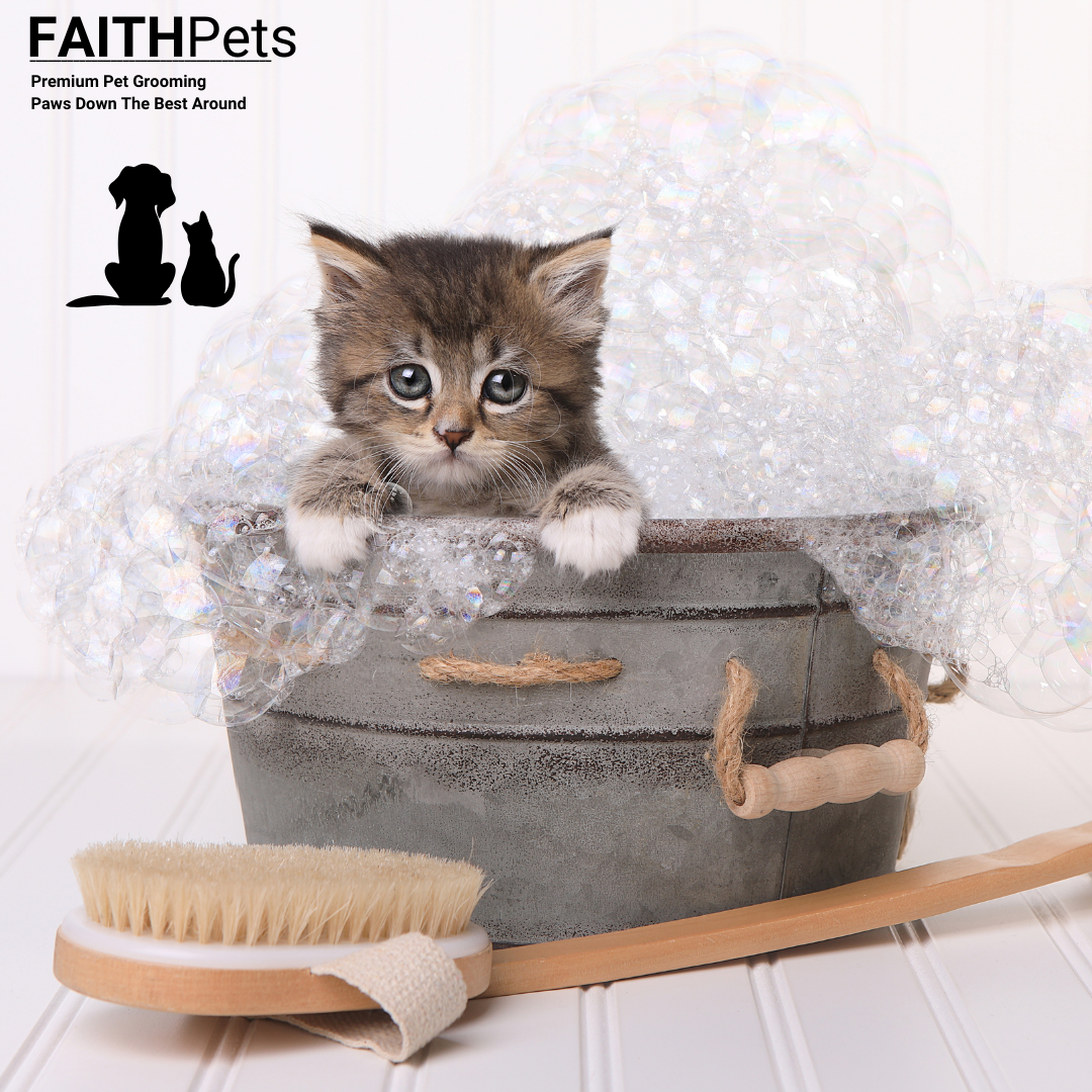 FaithPets 5-in-1 Organic Dog Shampoo & Conditioner