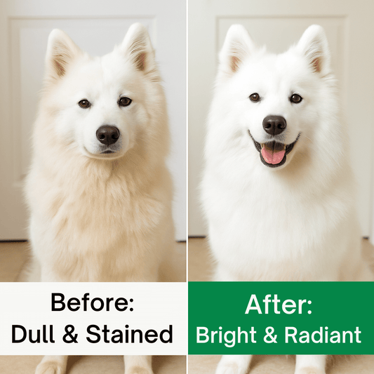 🐾 FaithPets Ultra Whitening Pet Shampoo - FaithPets