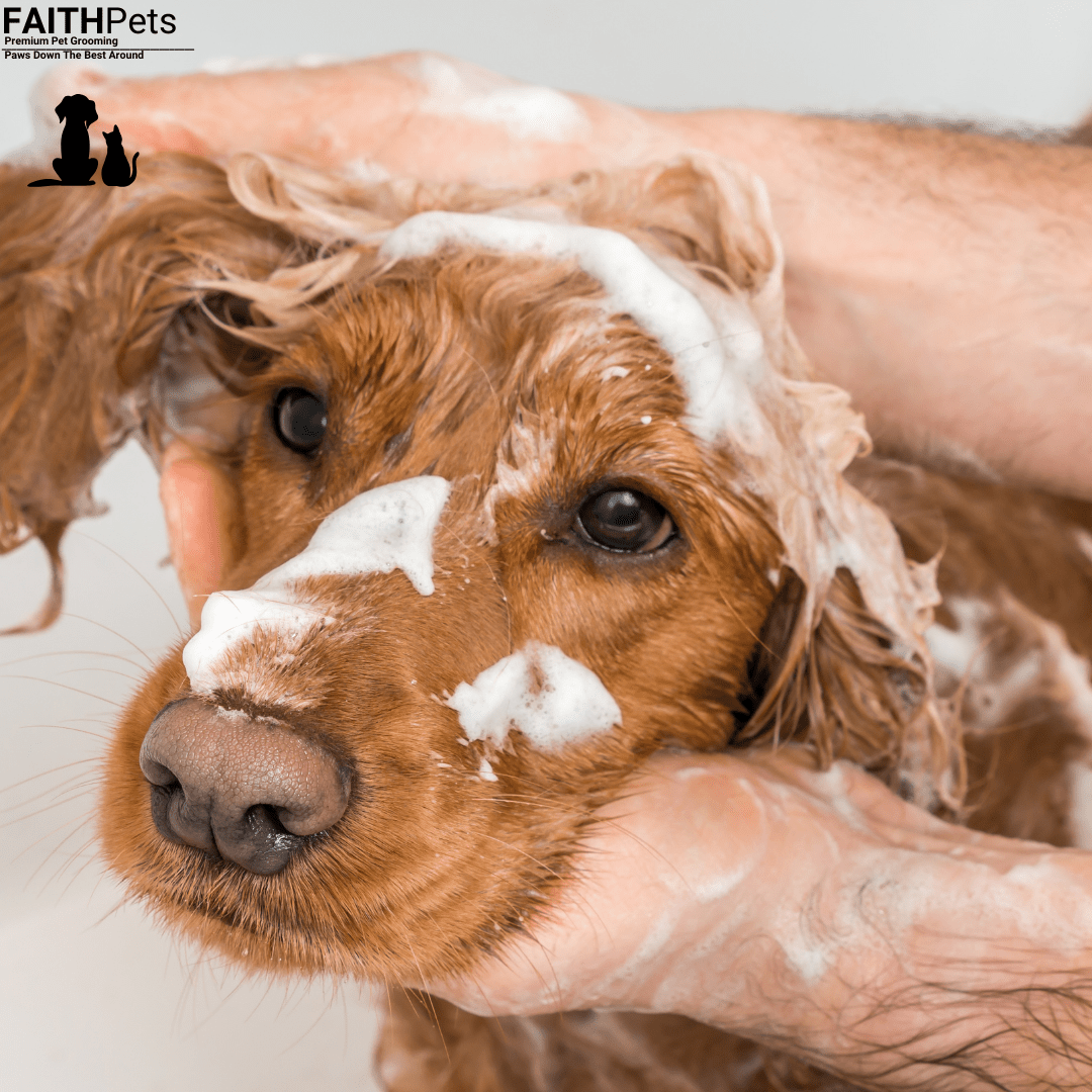 πΎ FaithPets Hypoallergenic Pet Shampoo - FaithPets
